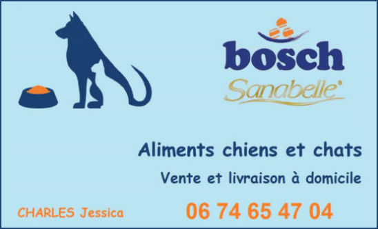 Pension Pour Chien Et Chat Chenil La Maison Blanche